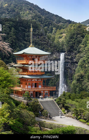 Seigantoji pagoda e la Nachi cascata in Nachikatsuura, Wakayama, Giappone Foto Stock