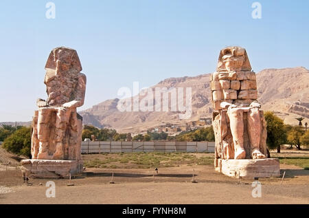 Colosso di Memnon a Luxor, Egitto Foto Stock