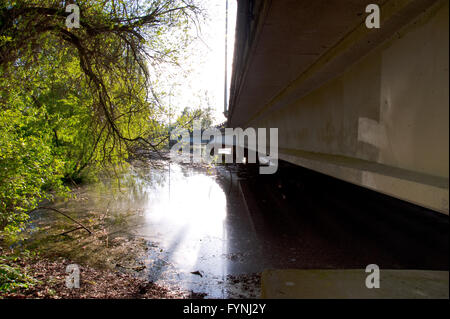 SR-520 Autostrada sottopassaggio Foto Stock