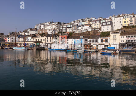 Il sole splende sul porto di Brixham nel Devon, Inghilterra sudoccidentale. Il mare è calmo e ci sono barche colorate ormeggiata in questa cartolina scena. Foto Stock