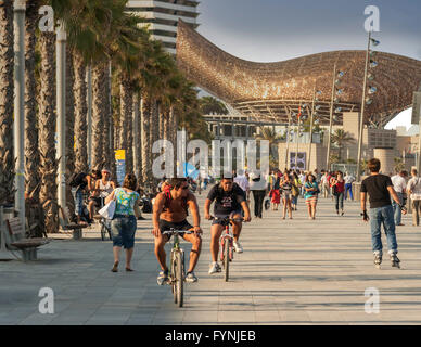 Persone in bicicletta lungo il Passeig Maritim, il pesce scultura di Frank Gehry in background, Barceloneta, Barcellona Spagna, UE Foto Stock
