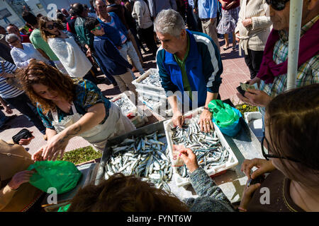 Prima di sardine dell'anno vengono venduti con la gente del posto a Furadouro, Ovar. Foto Stock