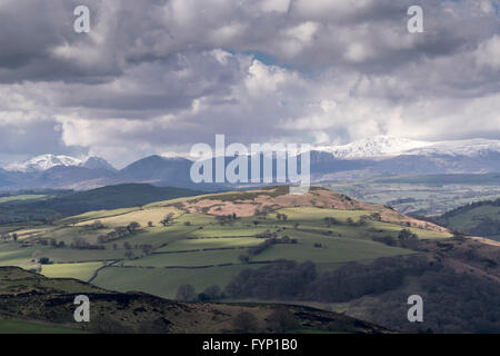 Vista dalla Mynydd y Gaer Hilltop fort vicino a Llannefydd Denbighshire North Wales guardando verso Snowdonia Mountain Range. Foto Stock