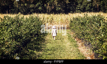 Bambina sta andando attraverso il corridoio nel frutteto. Scena all'aperto. Concetto di rurale. Di moda infantile. Bussole di Blackberry. S Foto Stock