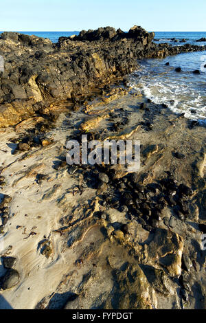 Madagascar alghe e rock Foto Stock