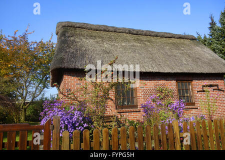 Piccolo cottage con tetto in paglia in Germania settentrionale Foto Stock