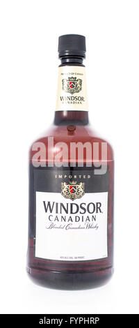 Winneconne, WI - 21 Febbraio 2015: Bottiglia di Windsor Canadian Whisky di bevande alcoliche Foto Stock