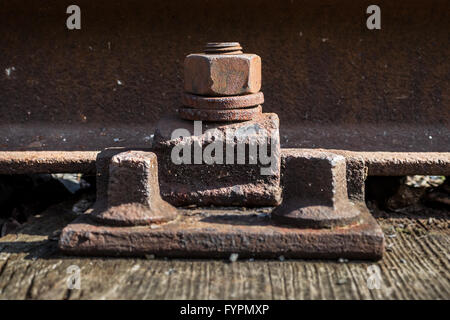 Vecchia vite arrugginita. rusty railroad.metallo invecchiato. Foto Stock