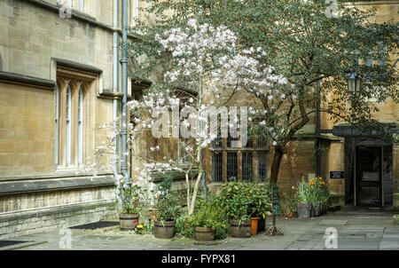 Terzo un quadrangolo a Jesus College, Università di Oxford, costruito nel 1571. Foto Stock