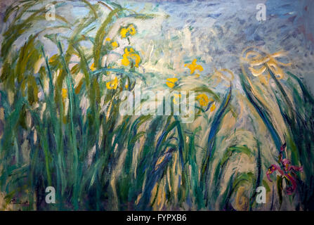 Le iridi, di Claude Monet, circa 1915-22, il Musee Marmottan Monet, Parigi, Francia, Europa Foto Stock