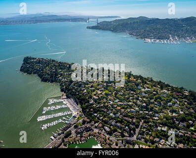 Vista aerea, Belvedere Tiburon penisola, San Francisco Bay Area, California, Stati Uniti d'America Foto Stock