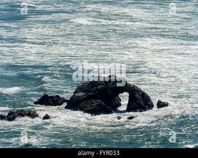 Vista aerea, Seal Rocks, Oceano Pacifico, San Francisco, Lands End Area, California, Stati Uniti d'America Foto Stock