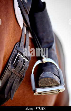 Dressage rider e cavallo closeup boot nella staffa dettaglio fotografia Foto Stock