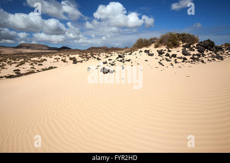 Le dune di sabbia e dune erranti El Jable, Las Dunas de Corralejo, nella parte meridionale di ​​the Corralejo parco naturale, Fuerteventura Foto Stock