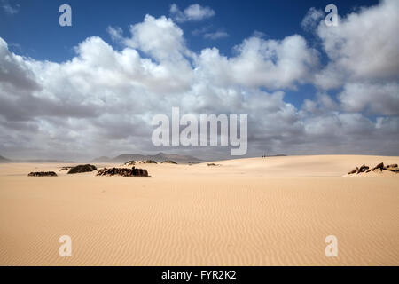 Dune di sabbia con le nuvole, vagare per le dune di El Jable, Las Dunas de Corralejo, Corralejo parco naturale, Fuerteventura Foto Stock