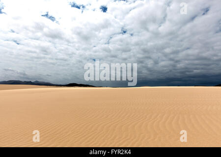 Le dune di sabbia, vagare per le dune di El Jable, Las Dunas de Corralejo, Corralejo parco naturale, drammatica la formazione di nube, Fuerteventura Foto Stock