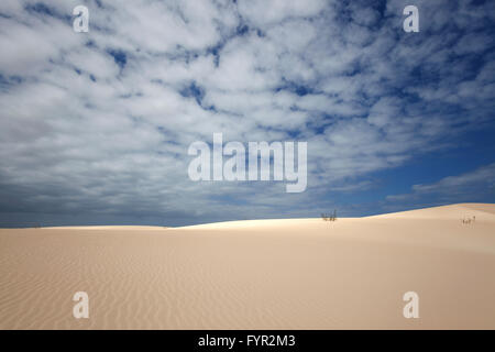 Dune di sabbia sotto il cielo blu con nuvole, vagare per le dune di El Jable, Las Dunas de Corralejo, Corralejo Parco naturale Foto Stock