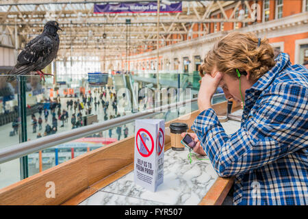 I piccioni sono senza lasciarsi scoraggiare da nessuna politica di piccione a Benugos cafe sul livello di mezzanino presso la stazione di Waterloo, Londra. Foto Stock