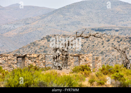 Il deserto Tabernas nella provincia di Almeria Spagna Foto Stock