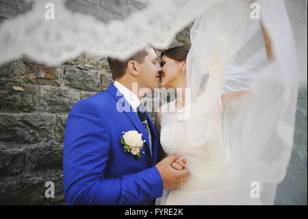 Amante sposi kissing Foto Stock