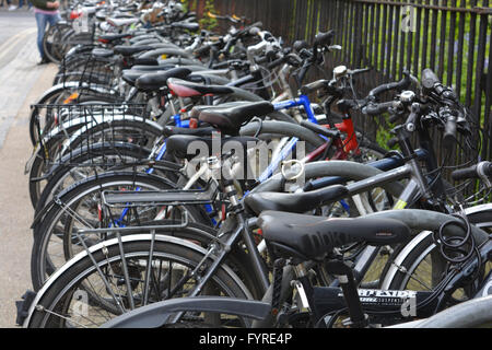 Studente di biciclette parcheggiate in Maddalena East Street, Oxford, Inghilterra. Foto Stock
