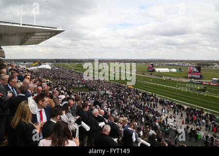 Una folla immensa al 2016 Grand National presso l'Aintree Racecourse in Liverpool, UK. Foto Stock