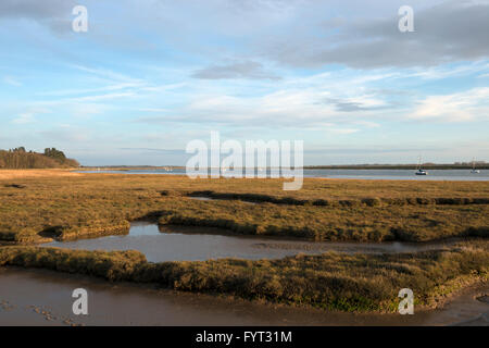 La Palude Salata accanto al fiume Deben, Ramsholt, Suffolk, Regno Unito. Foto Stock