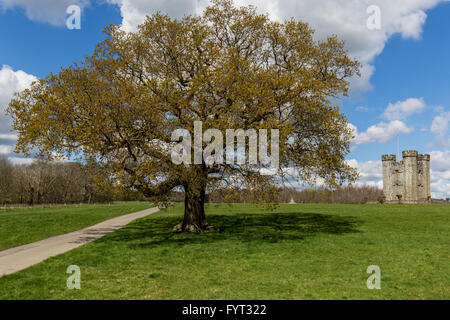 Torre Hiorne, Arundel, West Sussex Foto Stock