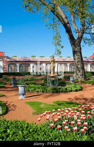 Fontana con una statua nel parco di Mon Plaisir. Peterhof. Sobborgo di San Pietroburgo Foto Stock