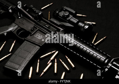 Smith & Wesson M&P 15 Fucile con Vortex StrikeFire II CAMPO DI APPLICAZIONE Foto Stock