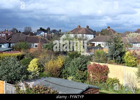 Vista in elevazione del case e giardini indietro a Shepperton Surrey UK Foto Stock