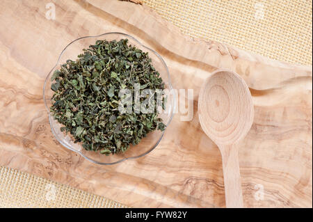 Ortica Urtica dioica foglie secche giacente su vetro piattino e svuotare il cucchiaio di legno sul tappetino, raw cibo sano e pinzatura. Foto Stock