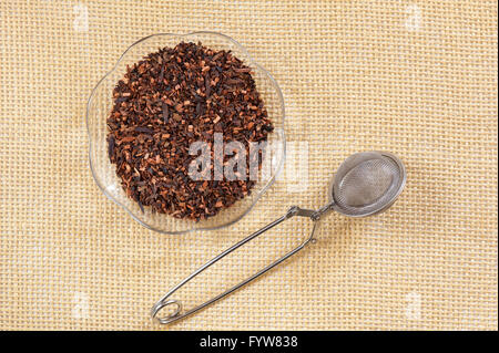 Asciugare Honeybush tagliò gambi tè alle erbe Heuningbos sapore dolce tè simile a Rooibos, realizzato da germogli di arbusti, Cyclopia s Foto Stock