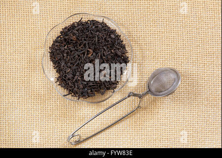 Pu Erh foglie essiccate tratto giacente su vetro piattino e vuoto in maglia metallica infusore tè teaball sul tappetino, secco materie pianta sana fogliame Foto Stock