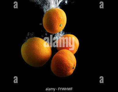 Agrumi in acqua Foto Stock