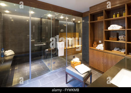 Interno di una sauna moderna camera Foto Stock