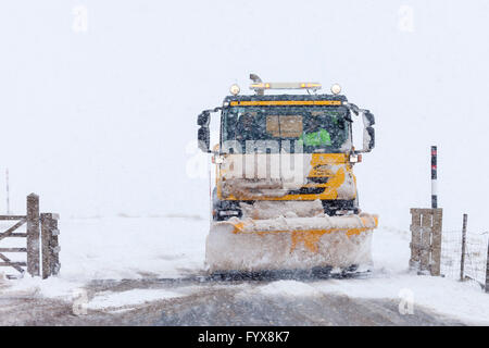 Contea di Durham, Cumbria frontiera, UK. Il 29 aprile 2016. Regno Unito Meteo. Neve pesante colpisce molte strade sia in County Durham e Cumbria. Vanghe da neve sono state cercando di mantenere la B6277 percorso aperto tra Middleton in Teesdale ed Alston, con la strada di Teesdale/contea di Durham solo lato appena accettabili in alcuni luoghi. Credito: David Forster/Alamy Live News Foto Stock