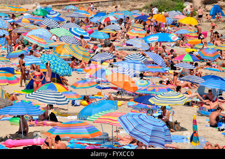 Spiaggia Son Moll, Cala Rajada, Mallorca, Spagna / Cala Ratjada, ombrelloni Foto Stock