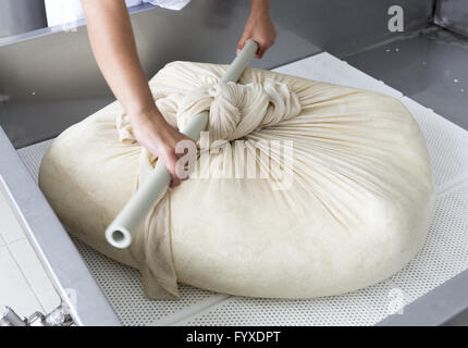 La produzione di formaggio di bufala di lanugine di garza Foto Stock