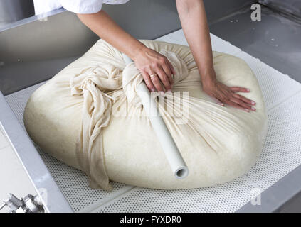 La produzione di formaggio di bufala di lanugine di garza Foto Stock