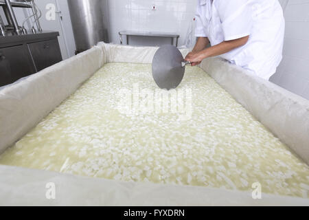 Lavoratore di formaggio su serbatoio in un diario creamery Foto Stock