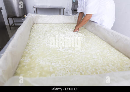 Lavoratore di formaggio su serbatoio in un diario creamery Foto Stock