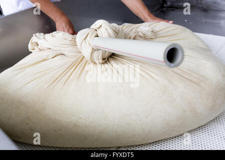 La produzione di formaggio di bufala di lanugine di garza Foto Stock