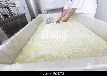 Lavoratore di formaggio su serbatoio in un diario creamery Foto Stock