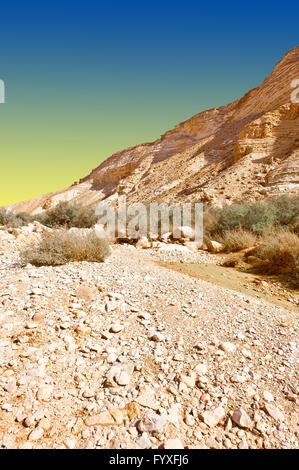 Deserto in Israele Foto Stock