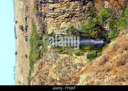Gamla caduta, Gamla Nationalpark, Gamla, Golan, Israele Foto Stock