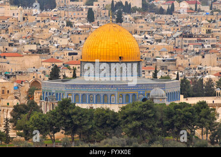 Cupola della roccia, il Monte del Tempio, la Città Vecchia di Gerusalemme, Israele Foto Stock