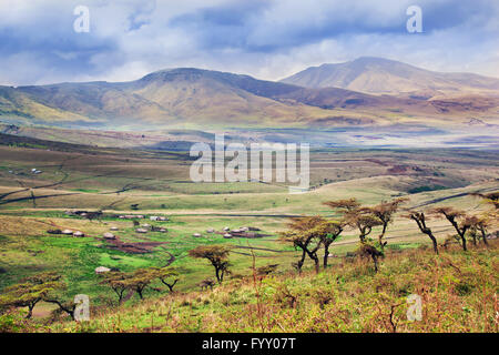 Savana paesaggio in Tanzania, Africa Foto Stock