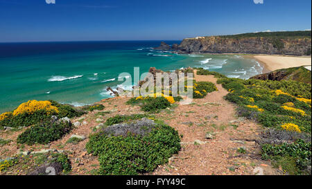 Il Portogallo, Algarve: vista mare dalle Scogliere con vegetazione costiera di spiaggia naturale di Praia de Odeceixe Foto Stock