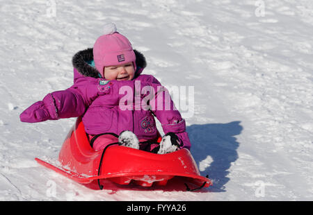 Ridere 2 anno vecchia ragazza in una slitta Foto Stock